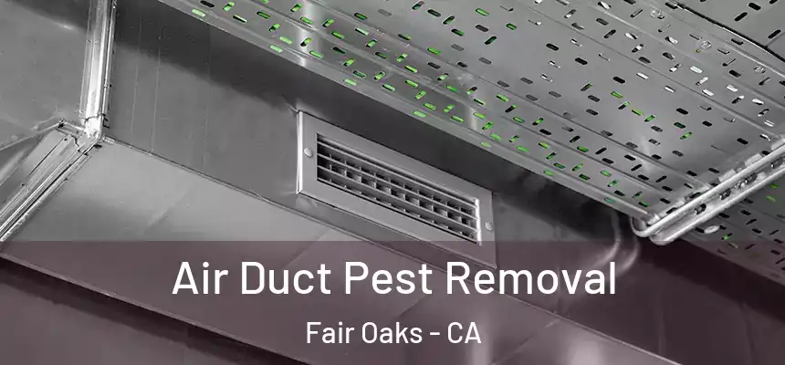 Air Duct Pest Removal Fair Oaks - CA