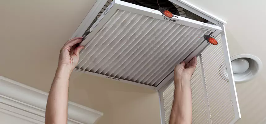 Preventive Cockroach-Proofing for Ducts in Fair Oaks