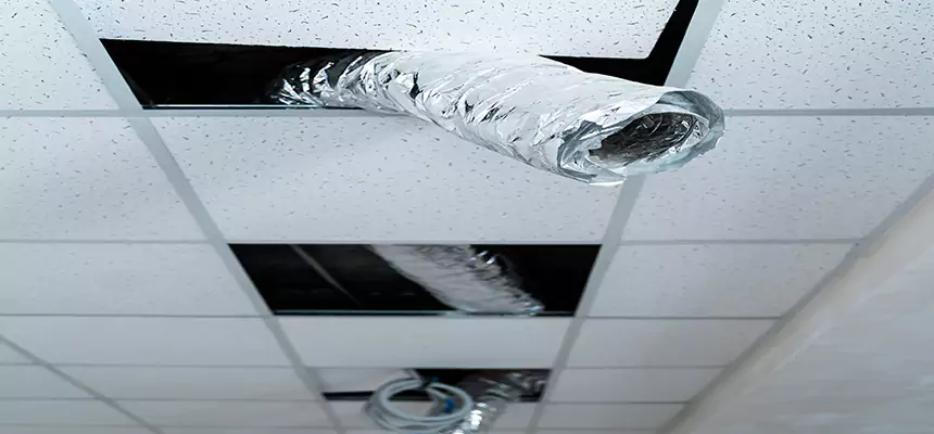 Our Air Duct Pet Hair Removal Services in Fair Oaks, CA