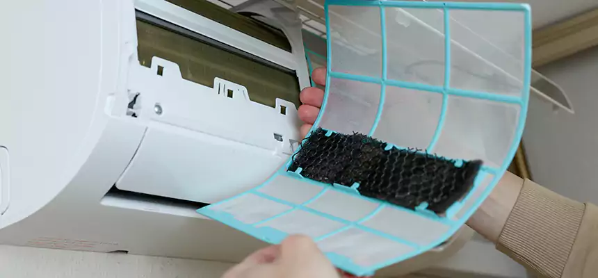 Gentle Ductwork Odor-Control Pet Dander Duct Cleaning in Fair Oaks, CA