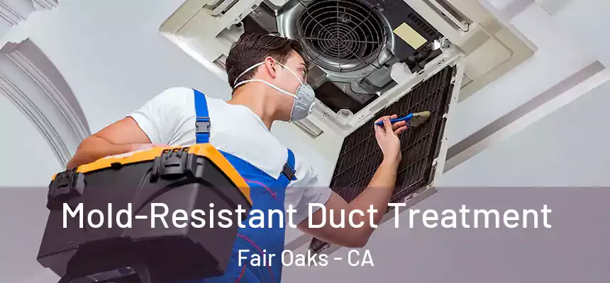 Mold-Resistant Duct Treatment Fair Oaks - CA
