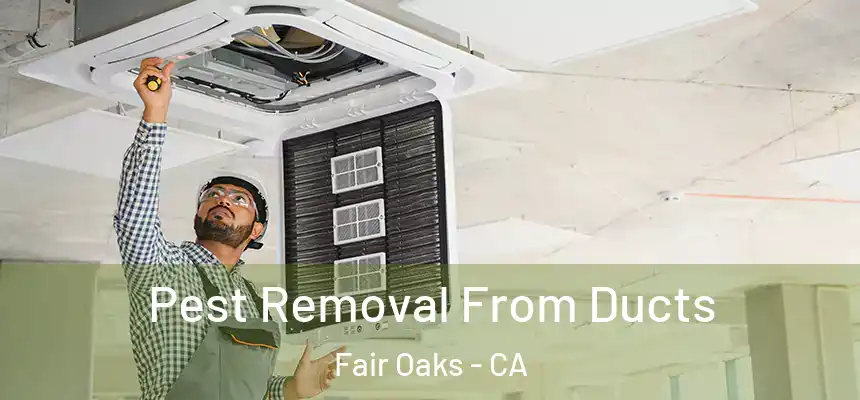  Pest Removal From Ducts Fair Oaks - CA