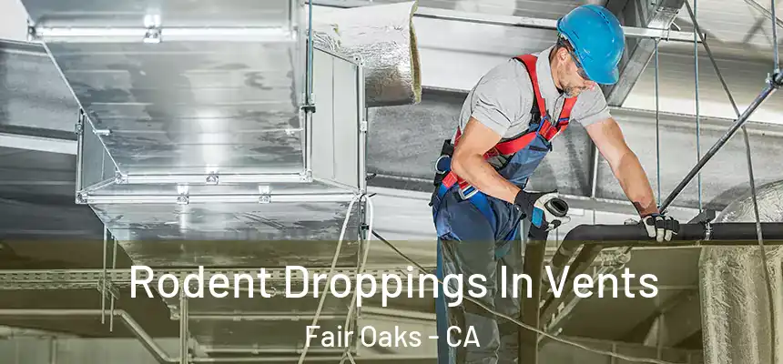 Rodent Droppings In Vents Fair Oaks - CA