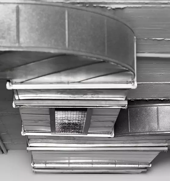 Professional Air Duct Pet Hair Removal in Fair Oaks, CA