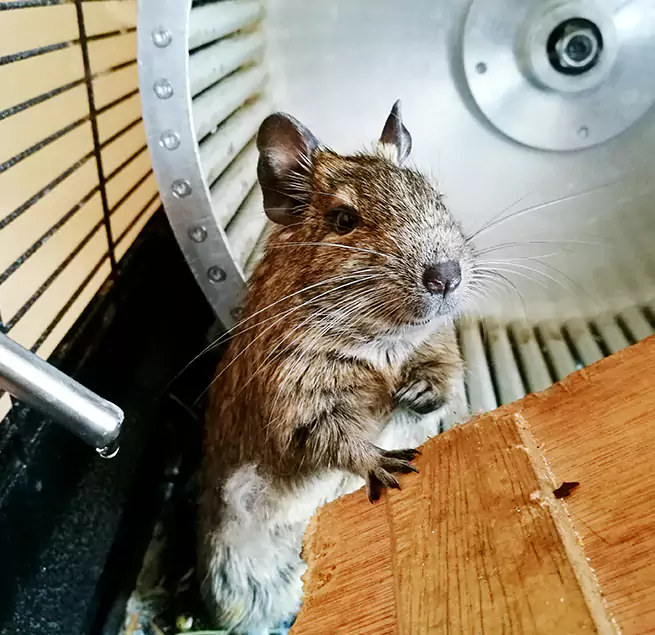 Why Homeowners & Businesses Trust Us Fair Oaks, CA