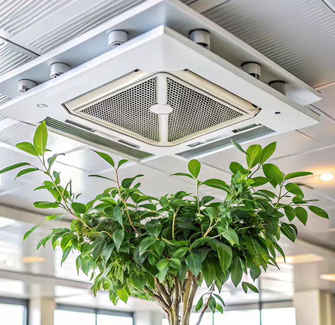 Why Homeowners & Businesses Trust Us in Fair Oaks, CA?