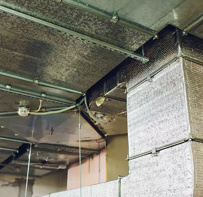 Why Homeowners & Businesses Trust Us in Fair Oaks, CA?